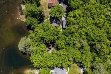 With approximately 150 feet of shoreline on scenic Division Pond - photo 43