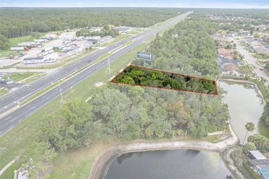 Commercial Vacant Land On The Corner Of US Hwy 19 And Landmark - photo 5