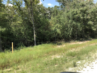 Lake Limestone Lot SOLD! in Marquez Texas