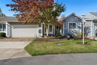 Lake Erie - Erie County Condo For Sale in Huron Ohio