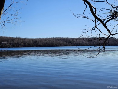 Lake Acreage For Sale in Stambaugh, Michigan