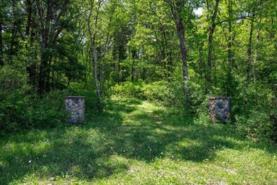 MOTIVATED SELLER! This is your chance to own a lot on Lake - photo 11