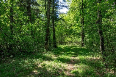MOTIVATED SELLER! This is your chance to own a lot on Lake - photo 12