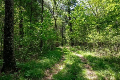 MOTIVATED SELLER! This is your chance to own a lot on Lake - photo 13