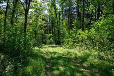 MOTIVATED SELLER! This is your chance to own a lot on Lake - photo 14