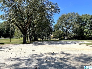 Great investment opportunity in Lineville! Former Alta Pointe - photo 5