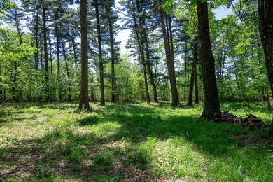 MOTIVATED SELLER! This is your chance to own a lot on Lake - photo 15
