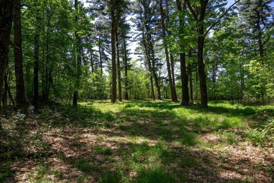 MOTIVATED SELLER! This is your chance to own a lot on Lake - photo 17