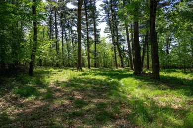 MOTIVATED SELLER! This is your chance to own a lot on Lake - photo 18