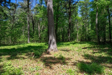 MOTIVATED SELLER! This is your chance to own a lot on Lake - photo 19