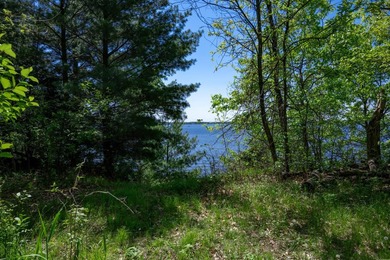 MOTIVATED SELLER! This is your chance to own a lot on Lake - photo 20
