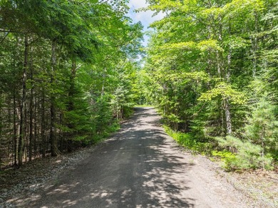 SAND LAKE: Dream retreat on Sugar Camp Chain! One-of-a-kind - photo 23