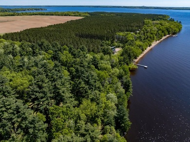 MOTIVATED SELLER! This is your chance to own a lot on Lake - photo 23