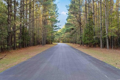 Experience the best of Southern elegance and modern - photo 32