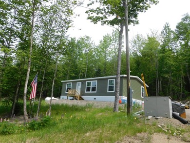 WOW! Mint condition home in the woods. Less than half a mile or - photo 3