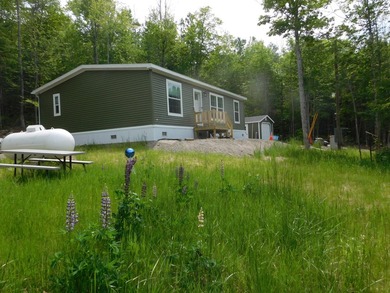 WOW! Mint condition home in the woods. Less than half a mile or - photo 6