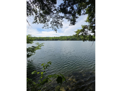 Looking for that waterfront home with a tranquil and peaceful - photo 3
