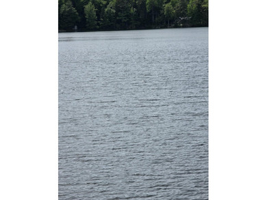 Looking for that waterfront home with a tranquil and peaceful - photo 4