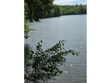 Looking for that waterfront home with a tranquil and peaceful - photo 5