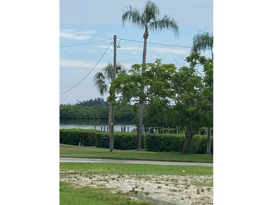 South Branch Manatee River  Home For Sale in Ruskin Florida