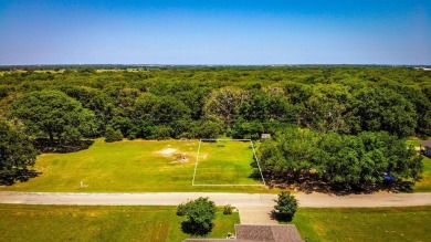 Lake Lot For Sale in Gun Barrel City, Texas