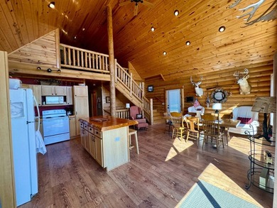 Well maintained log cabin located on Clear Lake - Lake City, SD - photo 2
