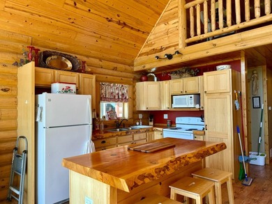 Well maintained log cabin located on Clear Lake - Lake City, SD - photo 3