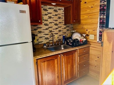 Waterfront home with private dock and 2 shops! Dock has new - photo 36