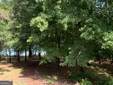 Elegant Lakefront Home with Exceptional Views and Amenities - photo 39