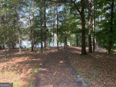 Elegant Lakefront Home with Exceptional Views and Amenities - photo 42