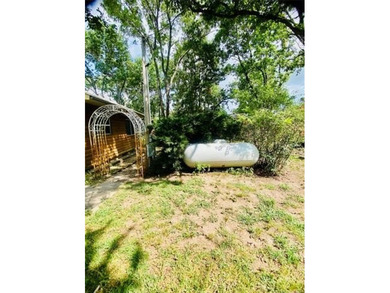 Waterfront home with private dock and 2 shops! Dock has new - photo 44