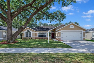 Valrico Lake Home For Sale in Valrico Florida