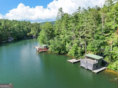 Your Charming Lake Seed Lakefront Retreat in the North Georgia - photo 27