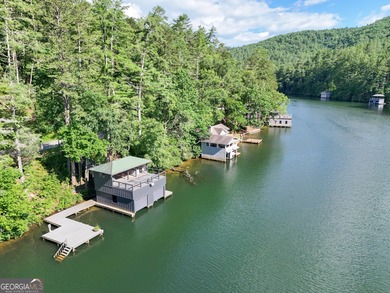 Your Charming Lake Seed Lakefront Retreat in the North Georgia - photo 28