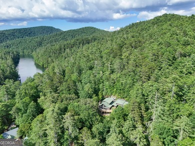 Your Charming Lake Seed Lakefront Retreat in the North Georgia - photo 31