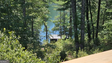 Your Charming Lake Seed Lakefront Retreat in the North Georgia - photo 34