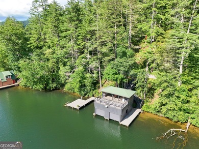 Your Charming Lake Seed Lakefront Retreat in the North Georgia - photo 35