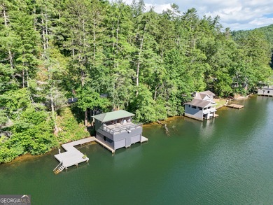 Your Charming Lake Seed Lakefront Retreat in the North Georgia - photo 36