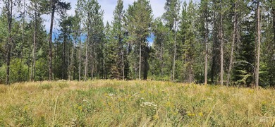 Lake Cascade  Lot For Sale in Donnelly Idaho