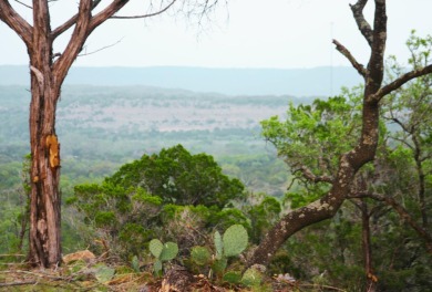 Lake Travis Acreage For Sale in Marble Falls Texas