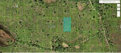 Lake Clinch Lot For Sale in Frostproof Florida