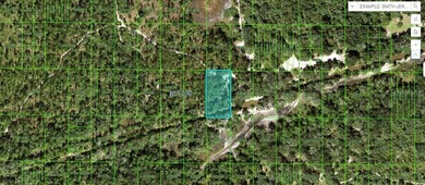 Reedy Lake Lot For Sale in Frostproof Florida