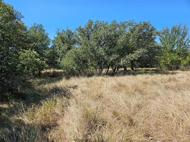 Mountain Lakes Ranch Acreage For Sale in Bluff Dale Texas
