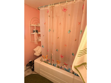 If you are looking for your St. Ignace summer getaway this is - photo 23