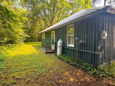 If you are looking for your St. Ignace summer getaway this is - photo 29