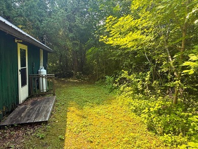 If you are looking for your St. Ignace summer getaway this is - photo 31