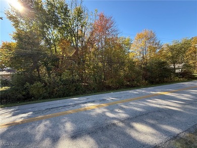 Lake Roaming Rock Lot For Sale in Roaming Shores Ohio