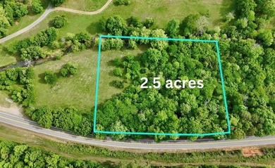 2.5 wooded acres on HWY 293 - perfect for a recreational - photo 1
