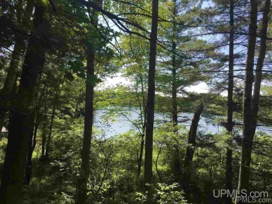 Spring Lake - Dickinson County  Acreage For Sale in Update Michigan