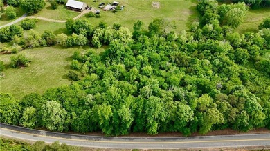 2.5 wooded acres on HWY 293 - perfect for a recreational - photo 2